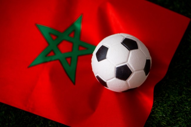 Morocco head coach Walid Regragui requests resignation after AFCON disappointment