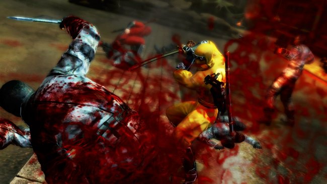Ninja Gaiden 3