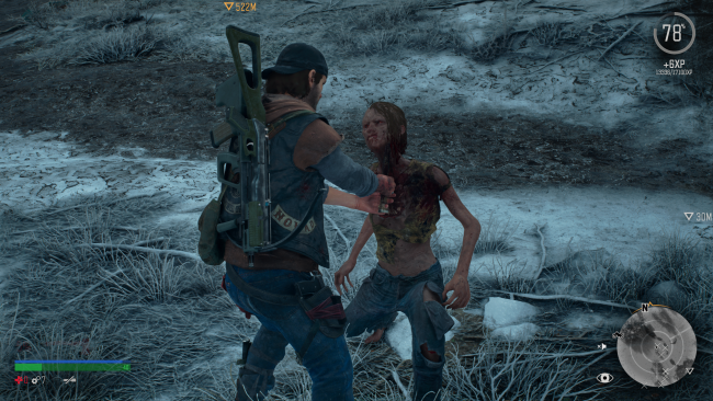 Days Gone