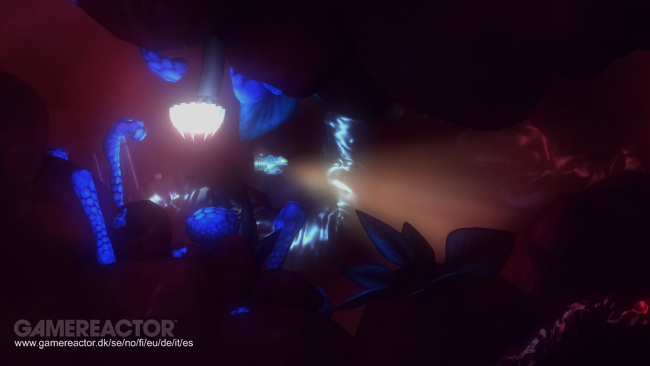 Affordable Space Adventures