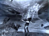 media/13/nyalackrabilderfran_31340t.jpg