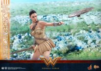 media/14/wonderwomanfigure_2111403t.jpg