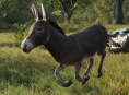 The donkey who modelled for Donkey in Shrek has passed away
