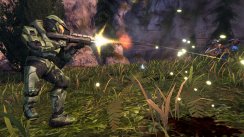 media/15/halo_261550t.jpg