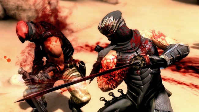 Ninja Gaiden 3