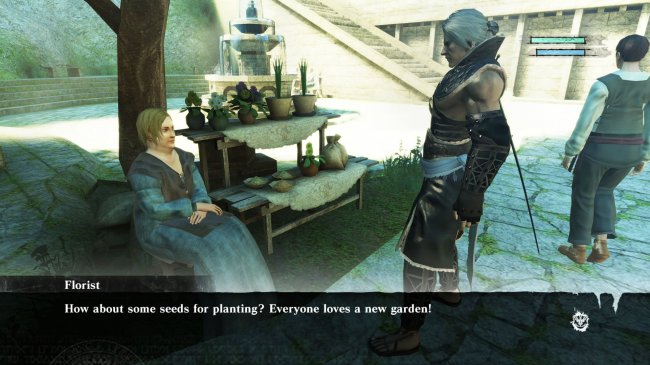 Nier