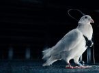 This is Russia's new weapon: A squadron of spy pigeons with brain implants and cameras