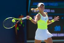 media/17/_4881773t.jpg