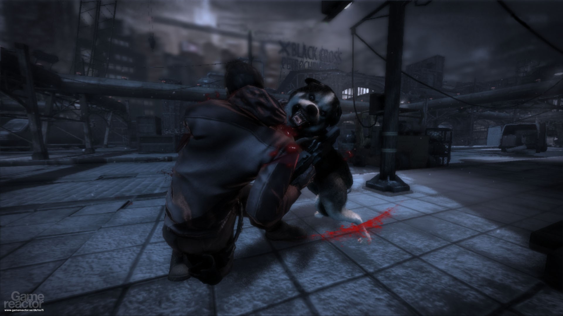 Pictures Of Dead To Rights Retribution 10