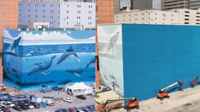 Artist sues FIFA for  million for illegally destroying his art to promote World Cup: "These walls are like my kids"