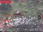 Pig saves Russian soldiers by accidentally stepping on landmine seconds before them