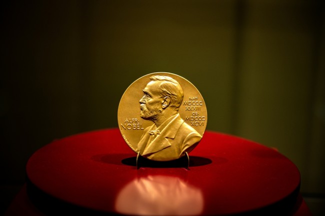 This is the Nobel Prize in Medicine for 2025