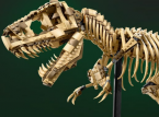 LEGO Jurassic World 76968 Dinosaur Fossils: Tyrannosaurus Rex