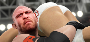 media/23/innehallsaknaswwe_1322324t.png