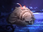 Seasons After Fall - Five Quick Questions