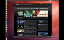 media/24/steamlinuxbeta_612441t.jpg