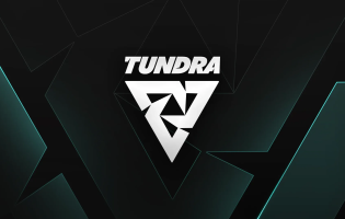 Tundra Esports transfers entire multi-tournament-winning Dota 2 roster to 1w Team