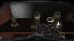 media/24/zelda_paskaggcallduty_982464t.jpg