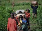 Crisis in Burundi: More than 60,000 flee violence in Congo