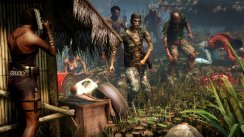 media/29/deadislandsurvivor_252943t.jpg