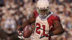 media/29/maddennfl16_1522903t.png