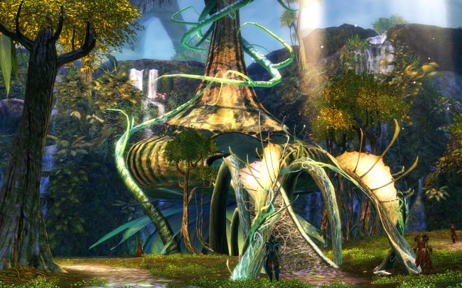 sansevieria superba Sansevieria Superba  Lichtenfelt's
