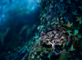 From the creators of Coraline comes Wildwood, set for a cinema release in October
