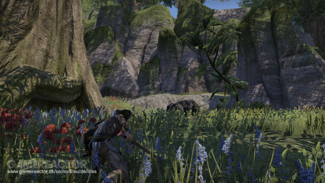 The Elder Scrolls Online