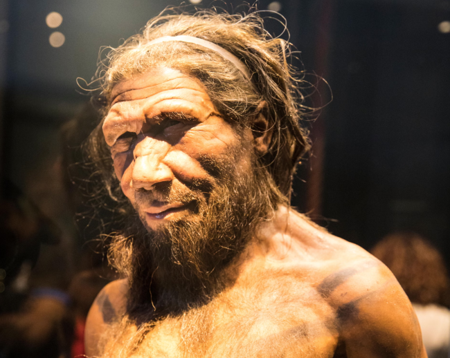 Study suggests male Neanderthals more often mated with human females