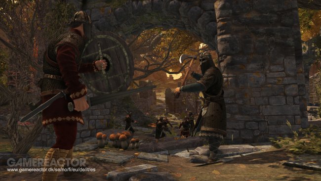 War of the Vikings