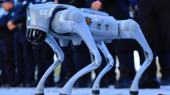 Robot dogs will guard the 2026 World Cup
