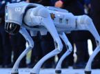 Robot dogs will guard the 2026 World Cup