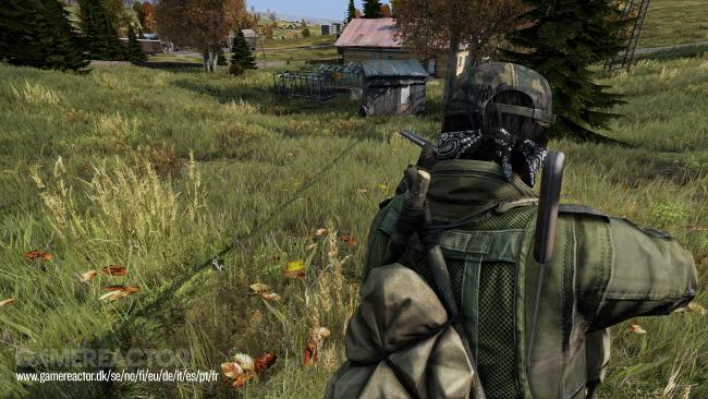 DayZ