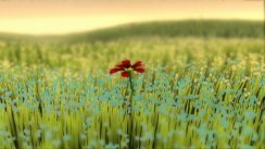 media/35/flower_173571t.jpg