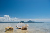 media/35/underwatervolcaniceruption_4923533t.jpg