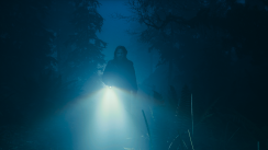media/36/alanwake2_4273673t.png