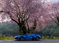 Forza Horizon 6 reached over 300,000 concurrent Steam players during the weekend