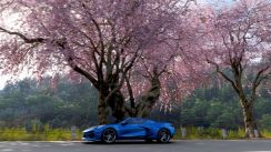 media/37/forzahorizon6_4893793t.jpg