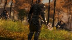 media/37/guildwars2_213740t.jpg