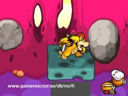 Mario & Luigi: Bowser's Inside Story