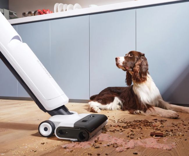 We talk advancing robotics, sustainability, and the future home with Roborock
