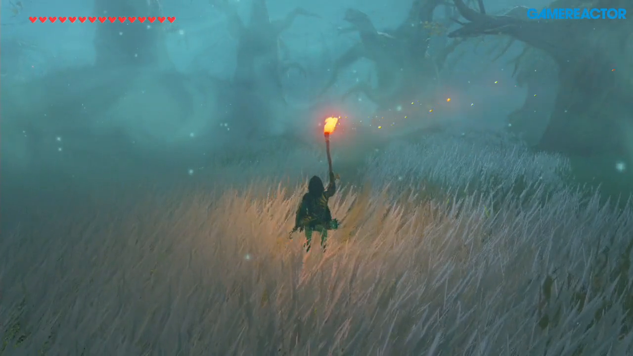 The Hunter Call Of The Wild Cross Platform Video tip: How to cross the Lost Woods in Zelda: BotW - The Legend of