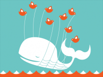media/41/followustwitter_204162t.png