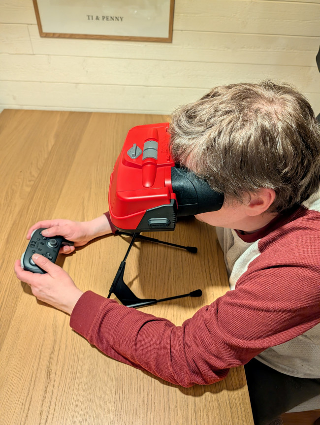 Virtual Boy on Switch/Switch 2