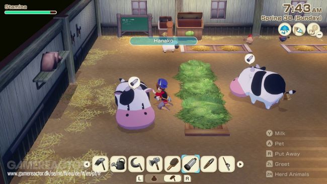 Story of Seasons: Grand Bazaar