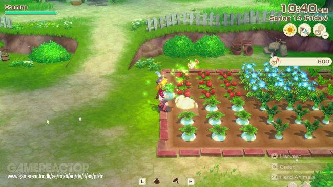 Story of Seasons: Grand Bazaar