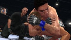 media/43/ufc2010_204399t.jpg