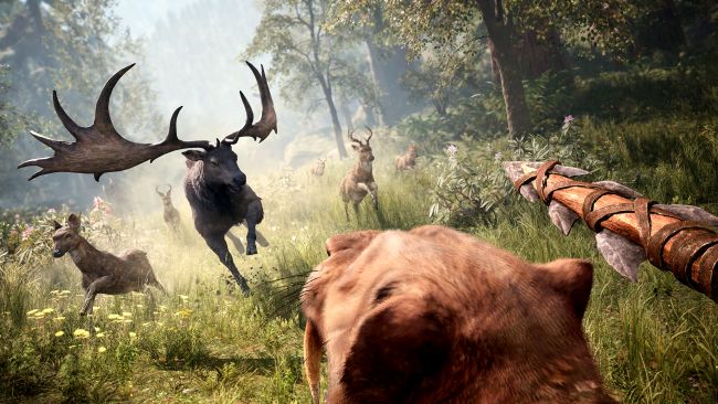 far cry primal pc gameplay far cry primal pc gameplay