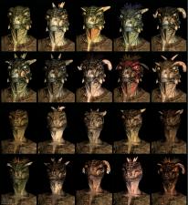 Related Image
