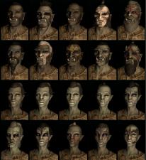 Related Image